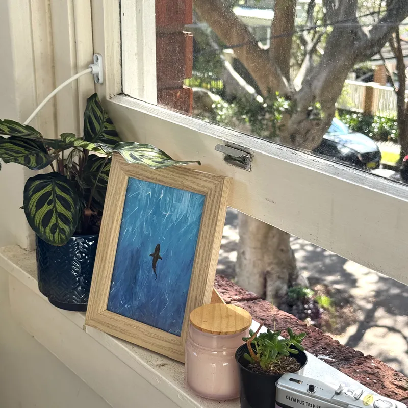 Ocean Collection - Lone Shark Digital Print view 4