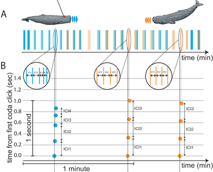 Figure 1 - Communication Time Plot 1